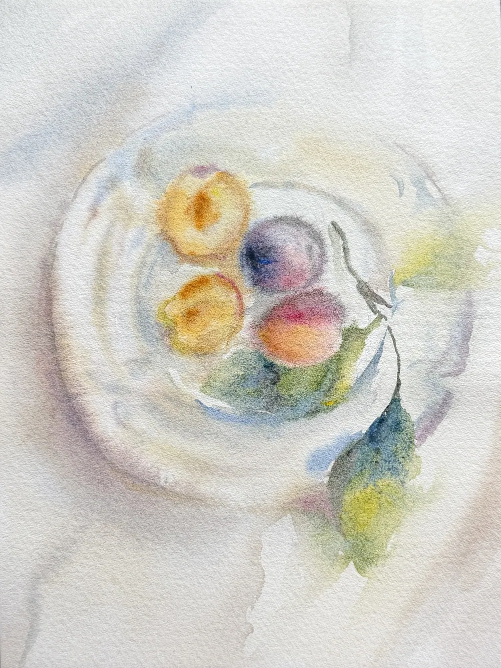 Still Life With Plumbs — Sofia Priadko, watercolour, 14,8 × 19,9 cm