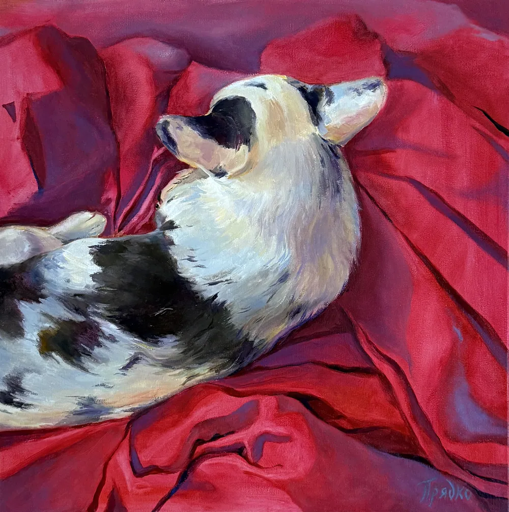 Ellie — Sofia Priadko, oil on canvas, 50 × 50 cm