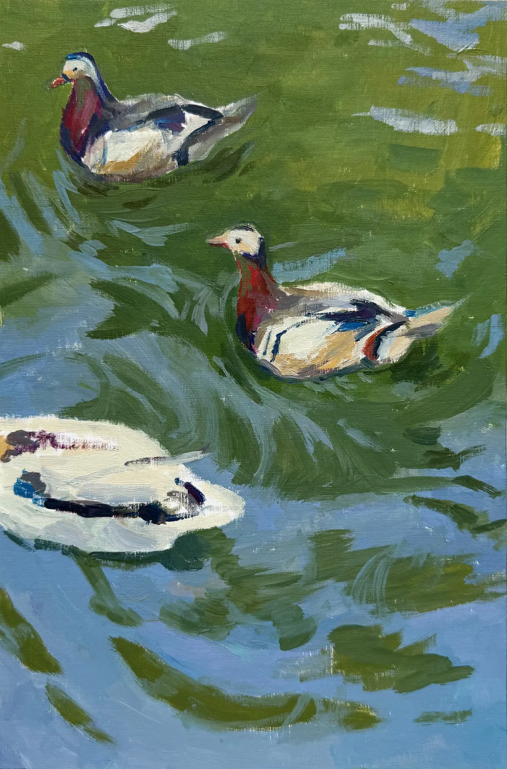 Mandarin Ducks - sketch — Sofia Priadko, oil on cardboard, 18 × 27.1 cm