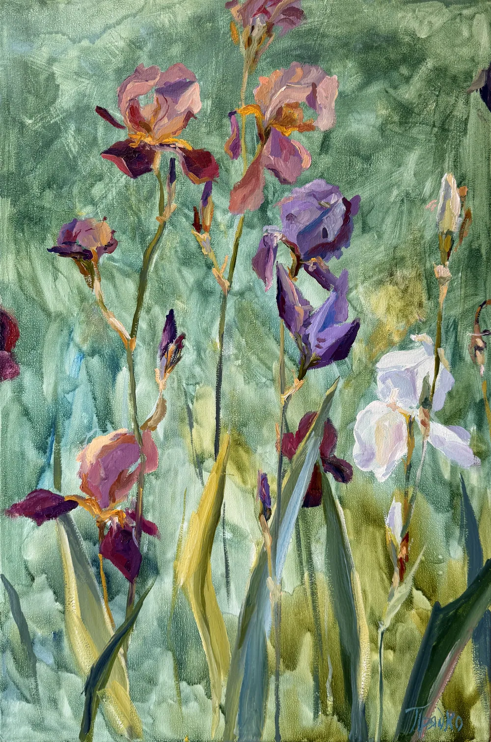 Irises — Sofia Priadko, oil on canvas, 40 × 60 cm