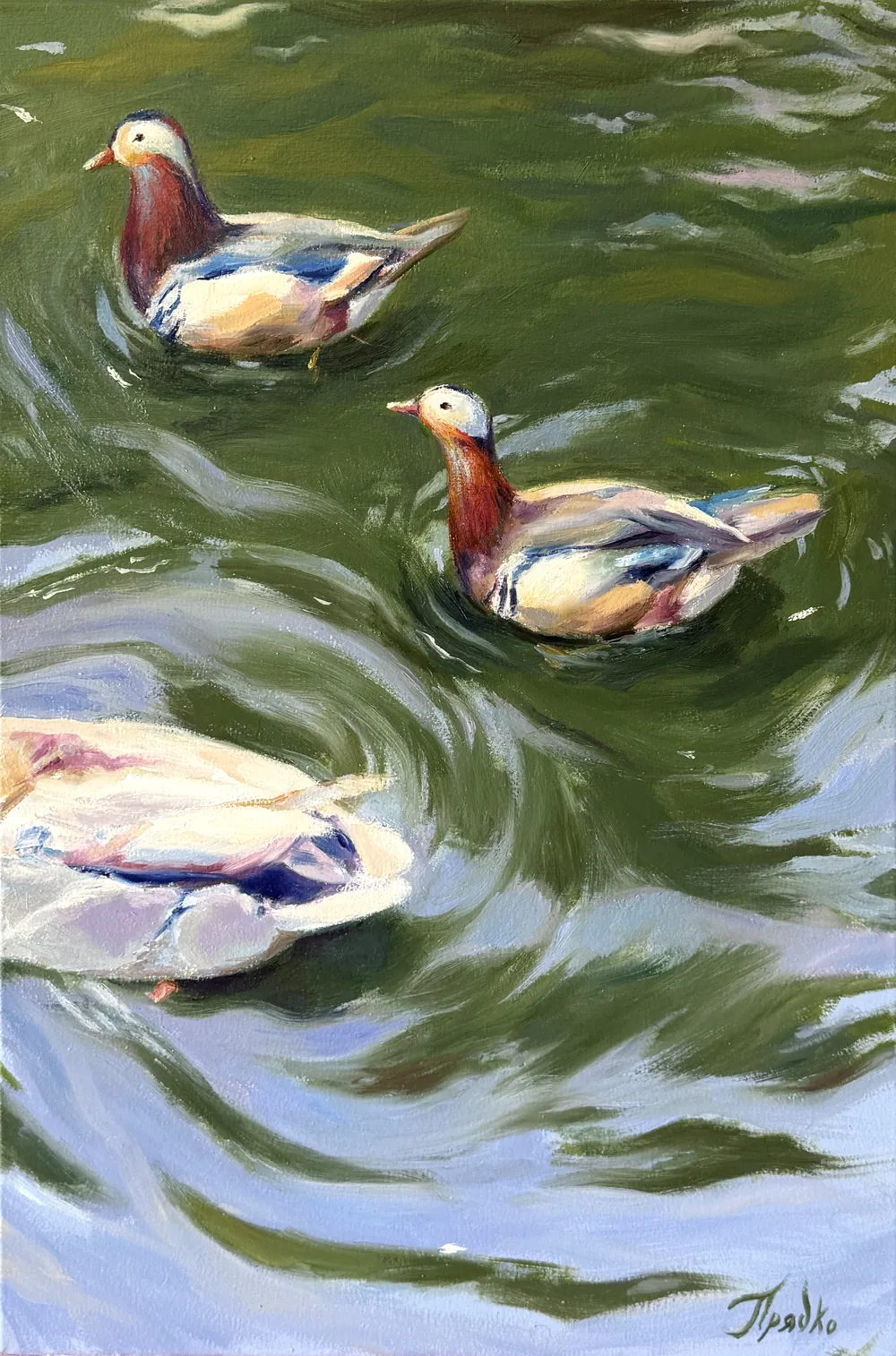 Mandarin Ducks — Sofia Priadko, oil on canvas, 40 × 60 cm